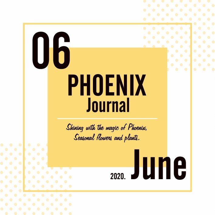 PHOENIX Journal 配布のお知らせ
