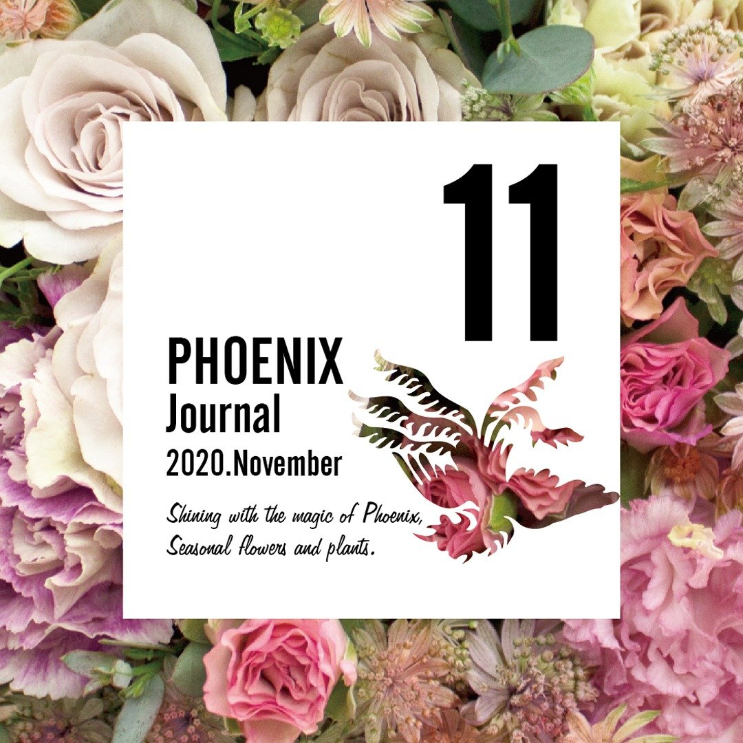 【11月・12月】PHOENIX Journal 配布のお知らせ