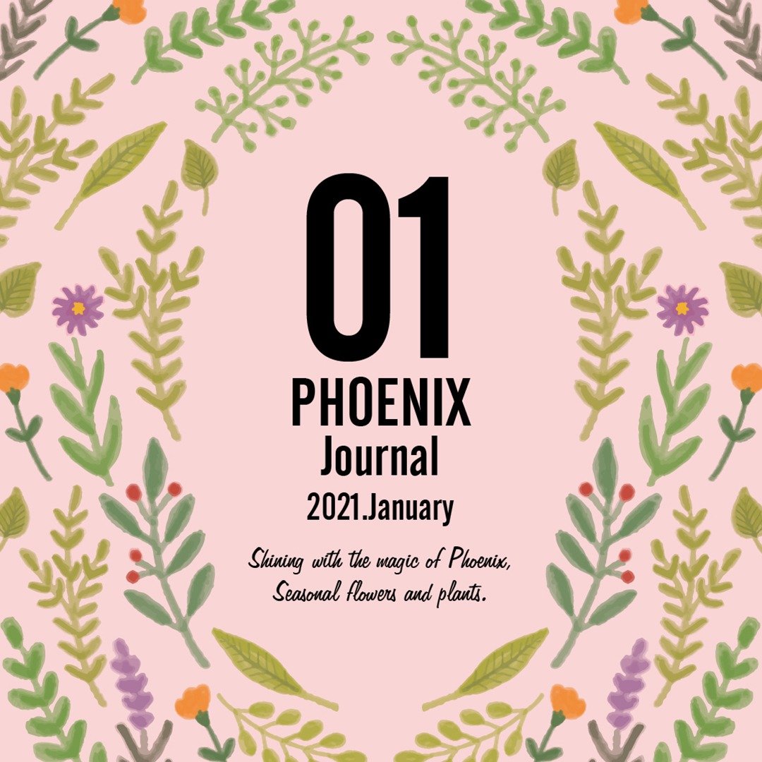 【1月・2月】PHOENIX Journal 配布のお知らせ